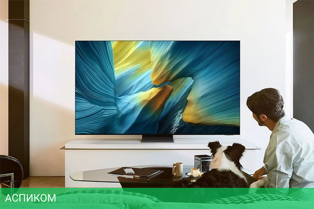 Телевизор OLED Samsung 55" QE55S95FAUXRU
