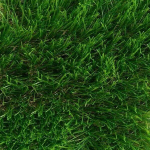 Трава искусственная Эко Грин 50, ширина 2м, рулон 30м, 60 кв. м