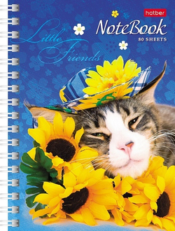 k75jblhuvayjojobq3pr7z2vk9sbqclw