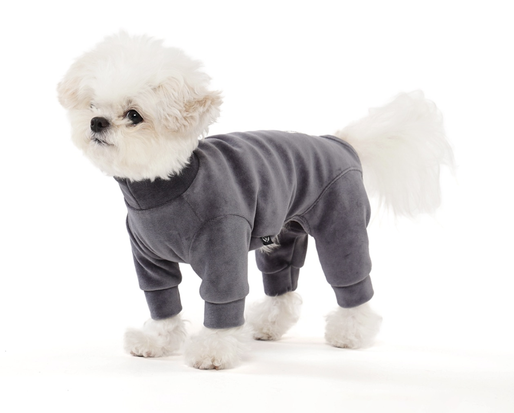 004 Костюм (ВЕЛЮРОВЫЙ) с высоким воротом "Angel Monsters Velour Highneck" Puppy Angel
