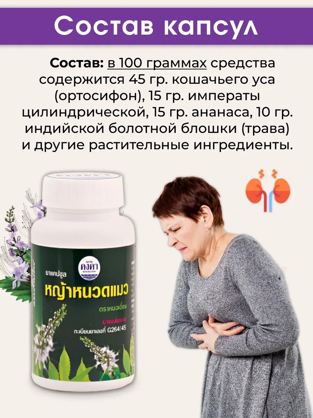 Средство для работы почек Кошачий Ус в капсулах