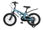 Maxiscoo COSMIC Стандарт 16'' (2025)