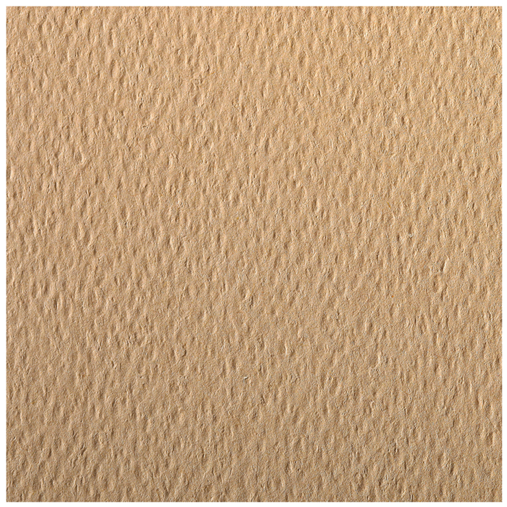 Цветная бумага 500*650мм., Clairefontaine "Etival color", 24л., 160г/м2, кэмел, легкое зерно, хлопок