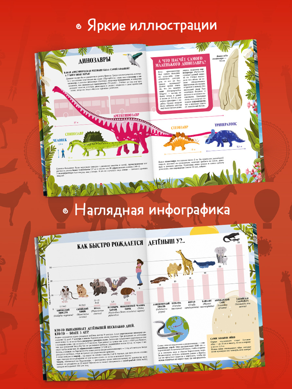 Большая энциклопедия CLEVER. Земля от атома до галактики. Масштабы мира в цифрах