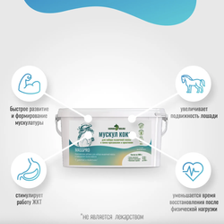 Подкормка МУСКУЛ КОКОС MassPro для лошадей Horse-Bio, 900 г