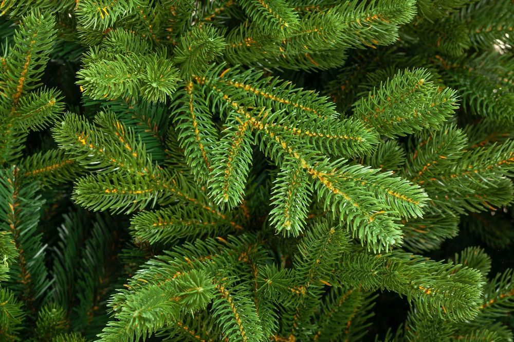 Ель искусственная «Ванкувер» (Литая+пвх) 3 м