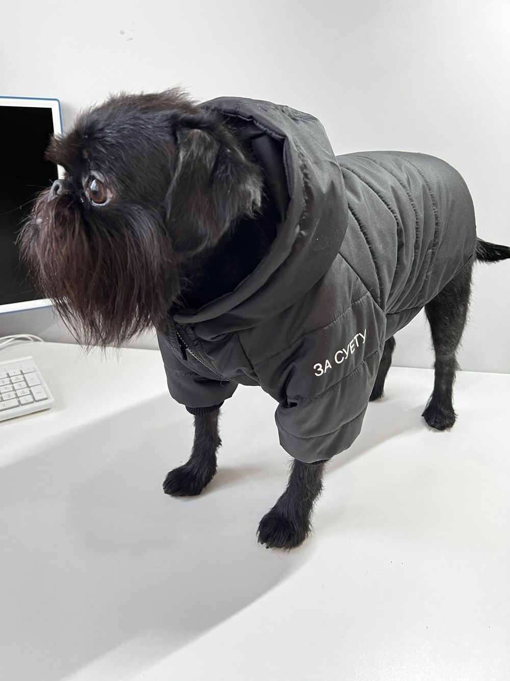 Куртка для собак с капюшоном, 32 см. (одежда для собак мелких, средних и крупных пород) (маленький / универсальный / дюспо)