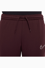 Штаны Nike Therma-Fit Academy Winter Warrior Junior