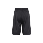 Шорты Nike Giannis Coming to America, CQ6314-010