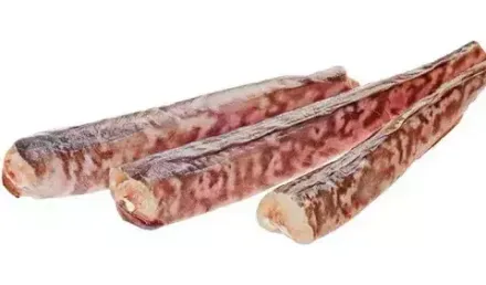 Конгрио