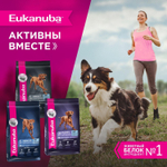 Сухой корм Eukanuba Senior Large Breed 7+ years для пожилых собак крупных и очень крупных пород с курицей 15 кг