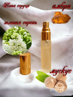 Наливная парфюмерия женская СвеТLана Mr. Newl C&M052-01 10 мл