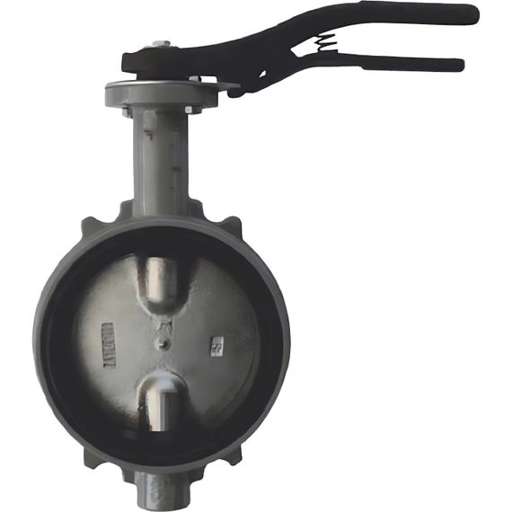 Затвор дисковый Giacomini поворотный DN250, R59WX025