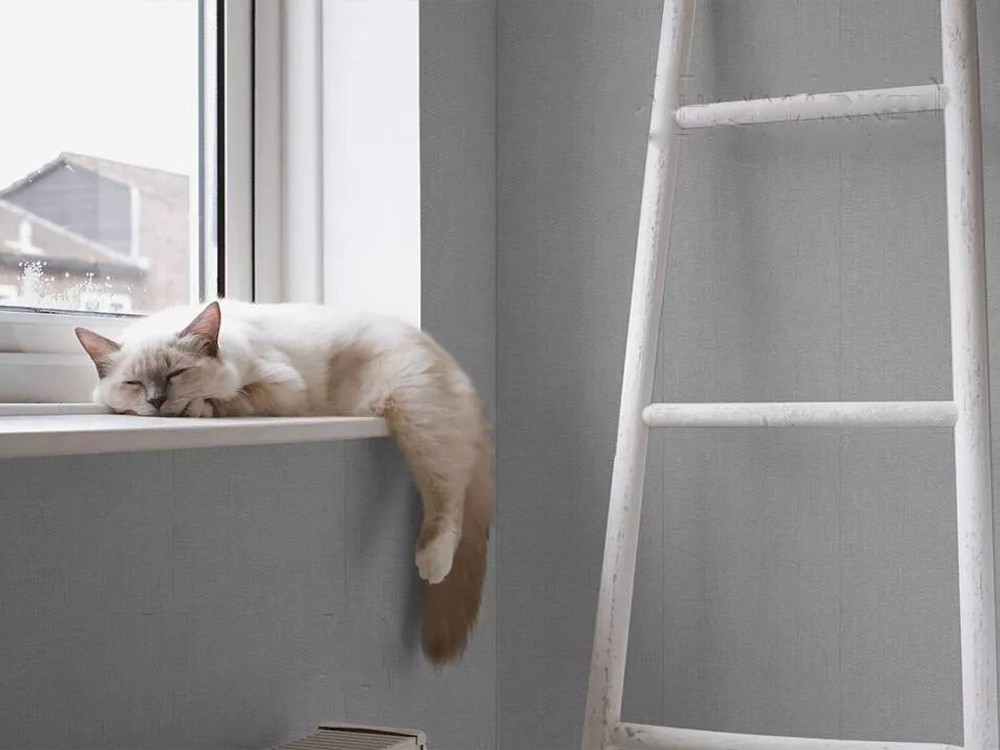 Ламинированная панель ПВХ Пергамент серый 2700х250мм