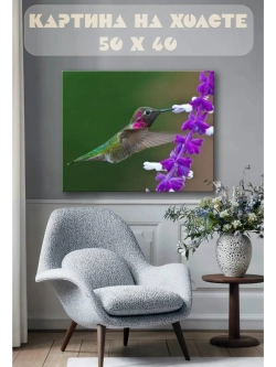 Картина на стену 40 X 50 Колибри
