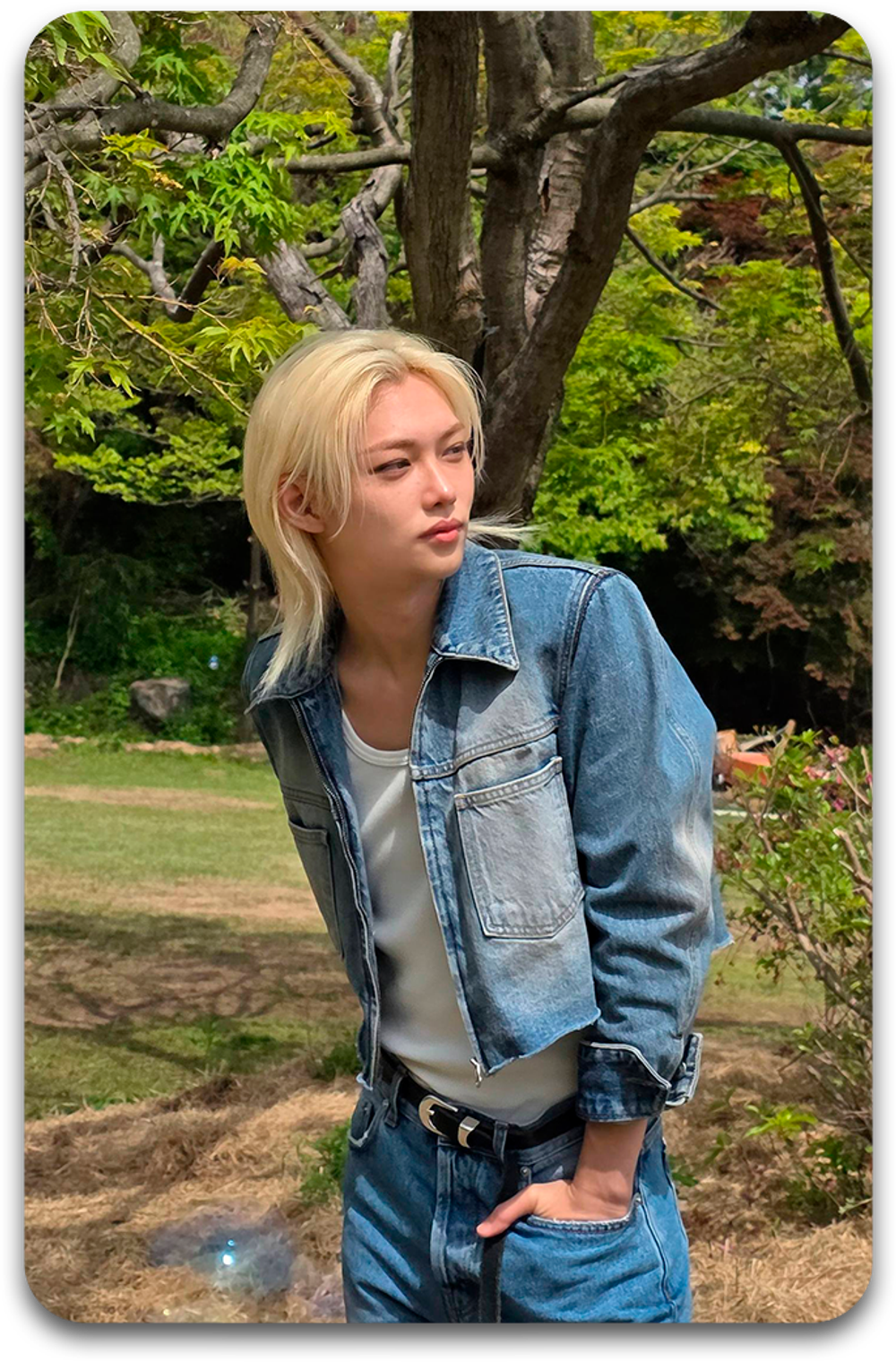 Карта / STRAY KIDS #3774