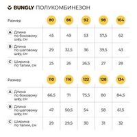 Полукомбинезон зимний "Графит"