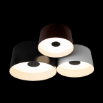 Потолочный светодиодный светильник Loft It Duo 10360/3