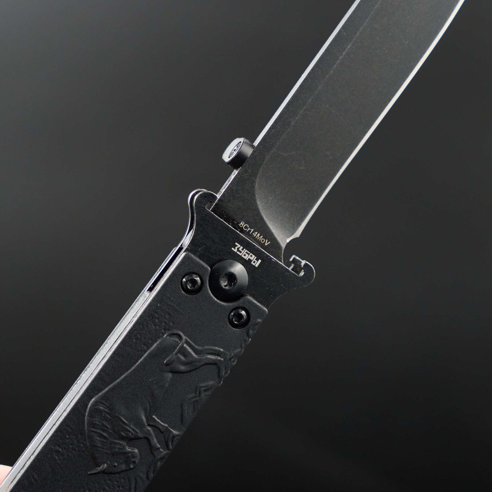 Нож складной Перемен Зубры (блеквош)
