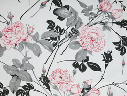 Постельное белье СайлиД B-116 сатин