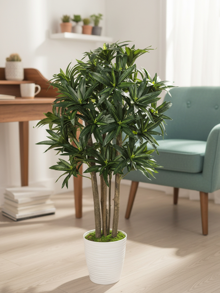 Драцена Рефлекса зеленая 90см в горшке