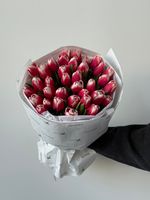 Букет из 35-ти красно-белых тюльпанов
