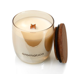 Аромасвеча AROMATICA Пряный апельсин