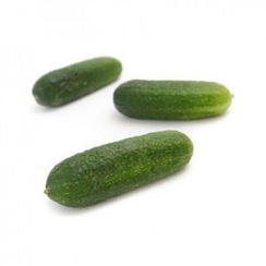 ШОПЕН F1 семена огурца (Rijk Zwaan | Alexagro)