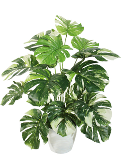 Искусственная Монстера Тайское созвездие 65см в кашпо