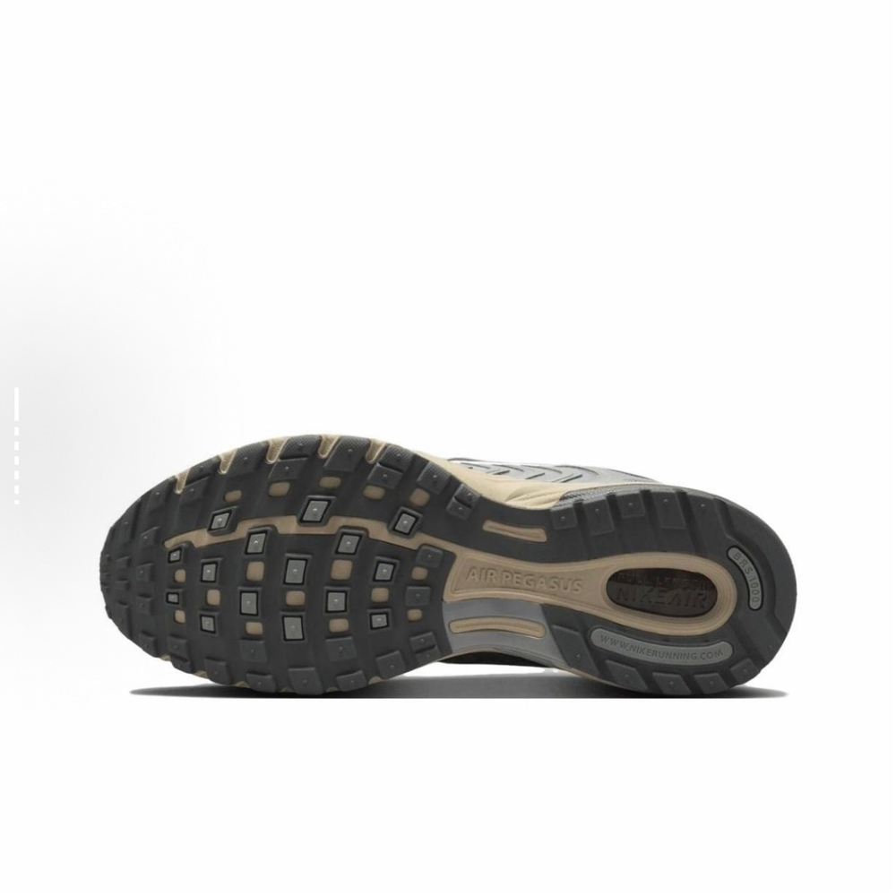 Кроссовки Nike Air Pegasus 2005