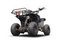 Квадроцикл RAPTOR 150 Universal