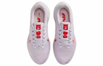 Кроссовки Nike Air Winflo 9 (Женская размерная сетка)