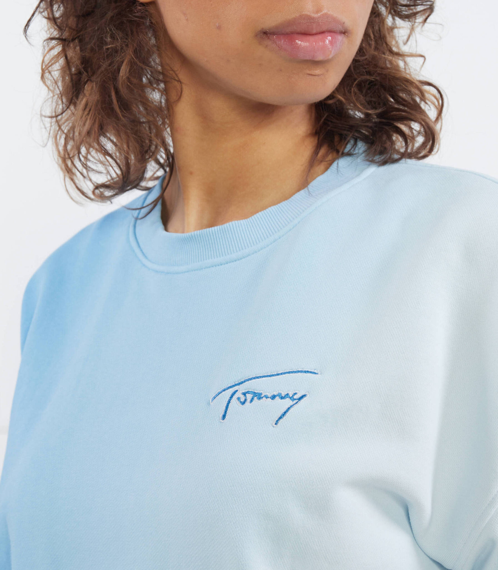 Худи Tommy Jeans - голубой(DW0DW15427)