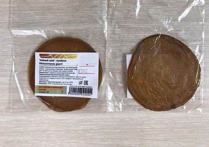 Чайный гриб - комбуча