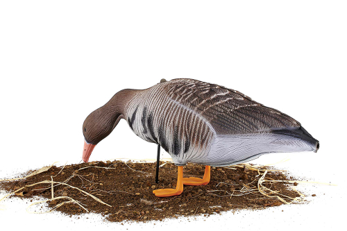 Белолобый гусь S-XPE 3D мод. B622-3D