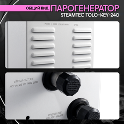 Steamtec TOLO KEY 240 - 24 кВт (ВЛАГОСТОЙКИЙ модуль управления). парогенератор для хамама и турецкой бани