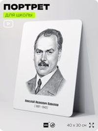 Портрет для школы в кабинет биологии "Николай Иванович Вавилов", стенд школьный для класса, деятели науки для оформления классного уголка, 40х30 см, Silver Plane x Айдентика Технолоджи