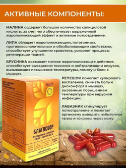 Batel. Сухой сбор в капсулах при повышении температуры, ознобе и ломоте в костях "Благосбор"