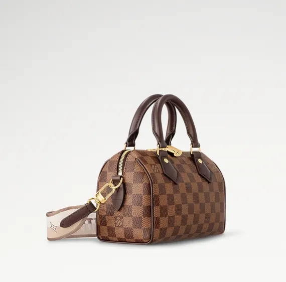 Сумка Louis Vuitton Speedy Damier Ebene