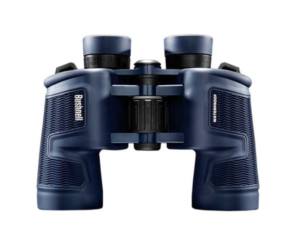 Bushnell 10x42 серии H2O