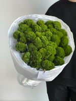 Моно букет из диантусов сорта Грин трик 35 шт