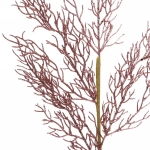 Ветка хвойная «Хрусталик» 75 см, Розовое золото