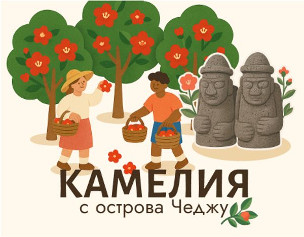 Камелия. Красота, которая передаётся вашей кожи