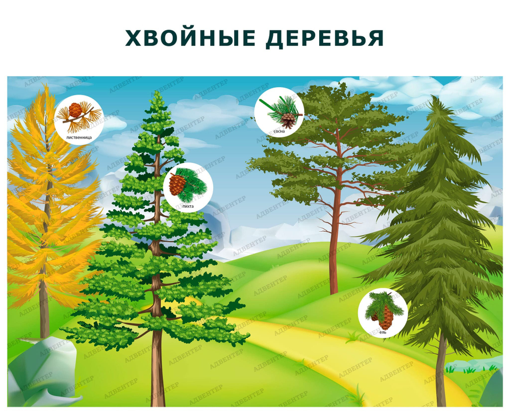 Комплект развивающий Природа: Лиственные деревья. Хвойные деревья. Кустарники 2198