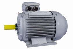 Электродвигатель ESQ PR 315 S4-SDN-Б1-S12-IE3 110/1500 IMB3