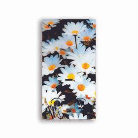 Водонагреватель газовый проточный (газовая колонка) VilTerm S10 Glass (цвет ромашки)