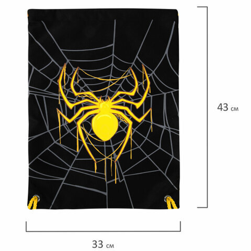 Мешок для обуви BRAUBERG PREMIUM, карман, подкладка, светоотражайка, 43х33 см, "Venomous spider"