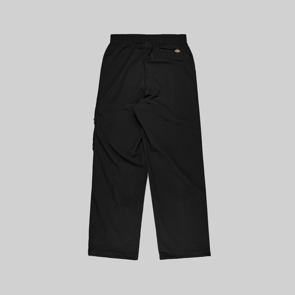 Брюки мужские Dickies Jackson Cargo Pant