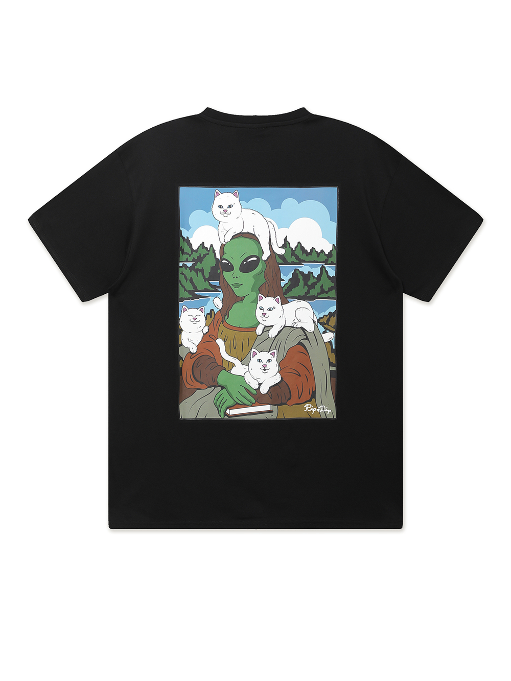 Футболка Кор. Рукав Here All Along Tee