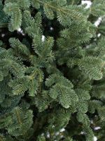 Искусственная ель «Монтерей» (Литая хвоя) 210 см / 2.1 м